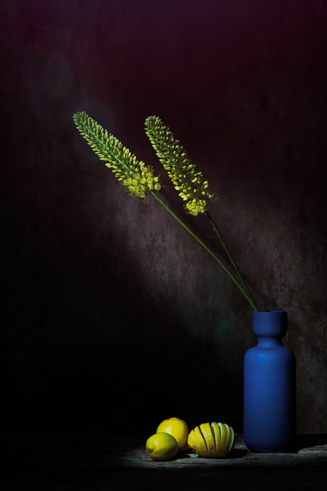 Stämningsfulla gula blommor – citroner av Saskia Dingemans