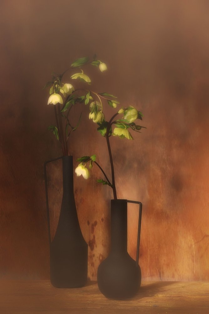 Lugn blommig elegans av Saskia Dingemans