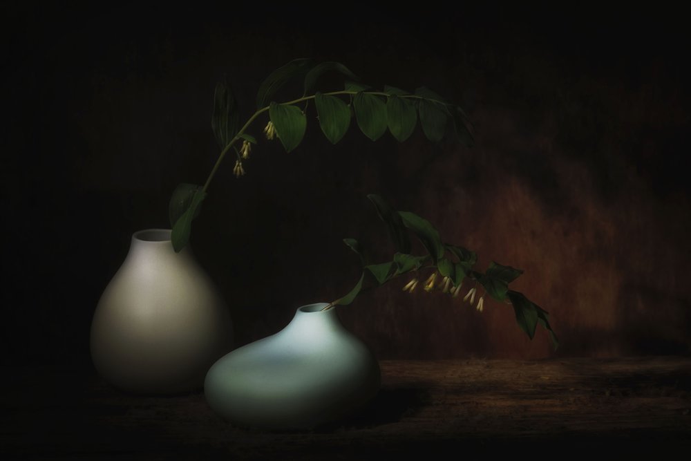 Lugnt botaniskt stilleben av Saskia Dingemans