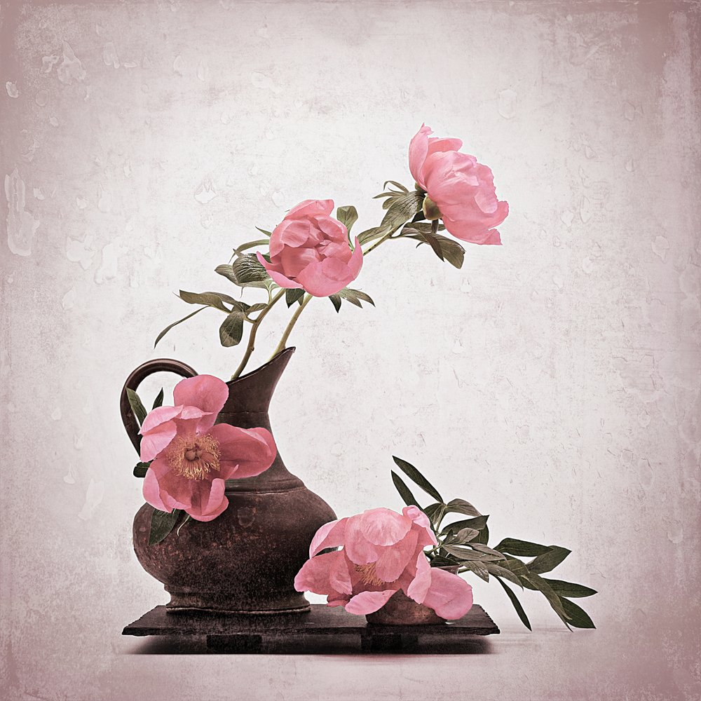 Mjukt rosa pioner av Saskia Dingemans