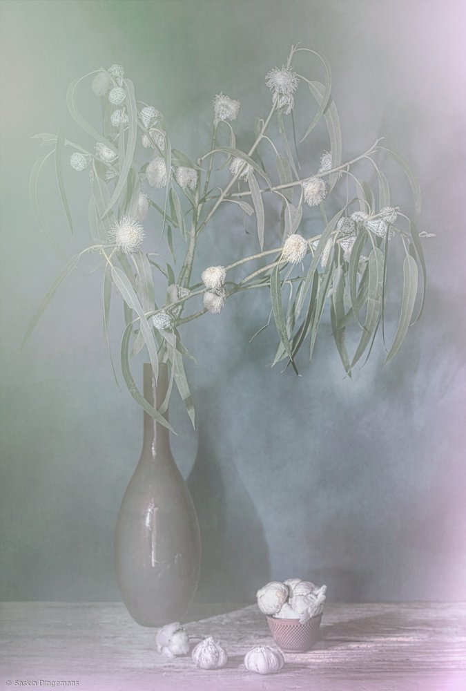 Vintersken. av Saskia Dingemans