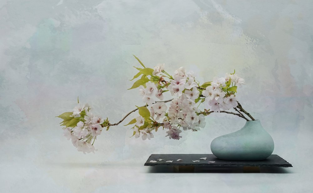 Zen Blossom – Stilleben av Saskia Dingemans