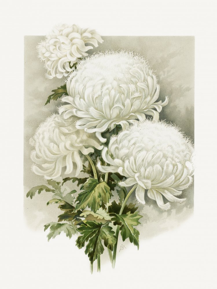 Fru Alpheus Hardy av Sidney Thomas Callowhill