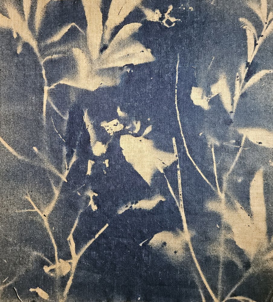 Blå botaniska skuggor av Stefano Mazzolini