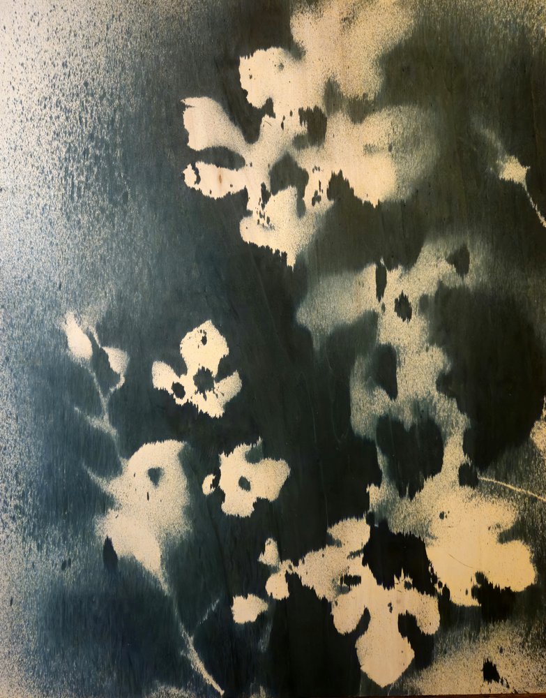 Mörka botaniska blad av Stefano Mazzolini