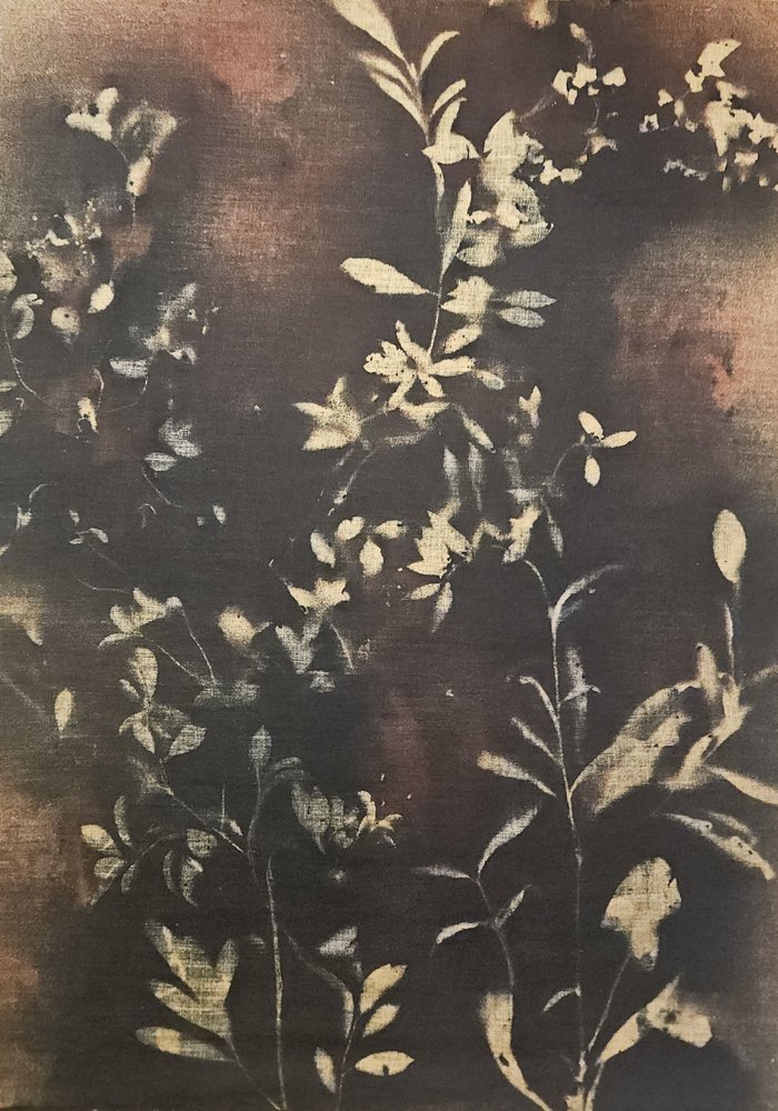 Mörka botaniska silhuetter av Stefano Mazzolini