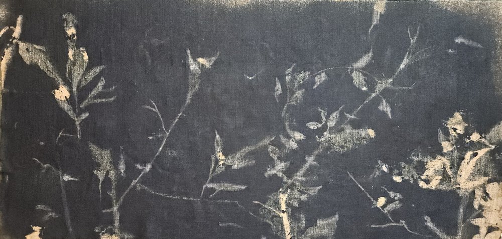 Mörk botanisk studie av Stefano Mazzolini