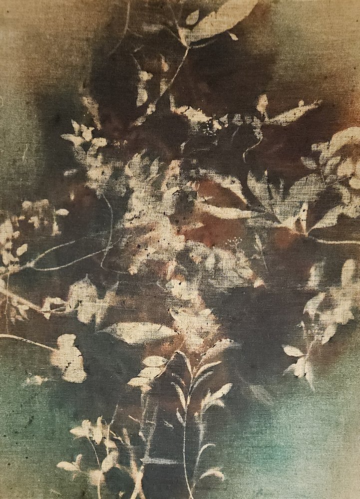 Mörka eteriska botaniska motiv av Stefano Mazzolini