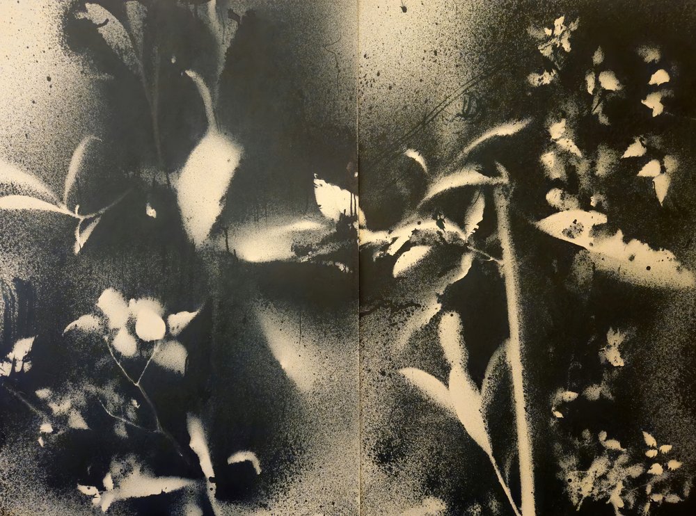 Eteriska botaniska former av Stefano Mazzolini