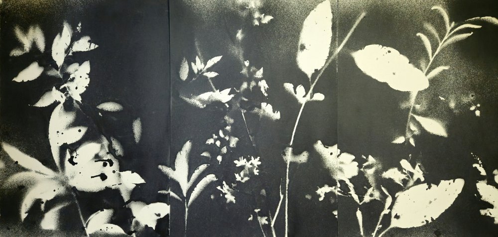 Eteriska botaniska silhuetter av Stefano Mazzolini