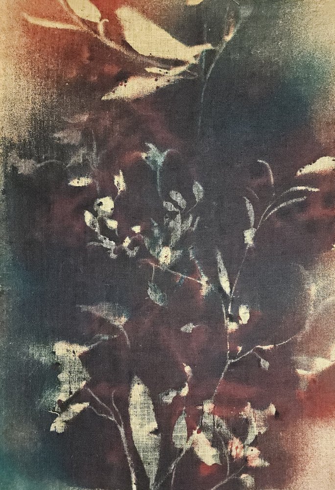 Stämningsfulla botaniska grenar av Stefano Mazzolini