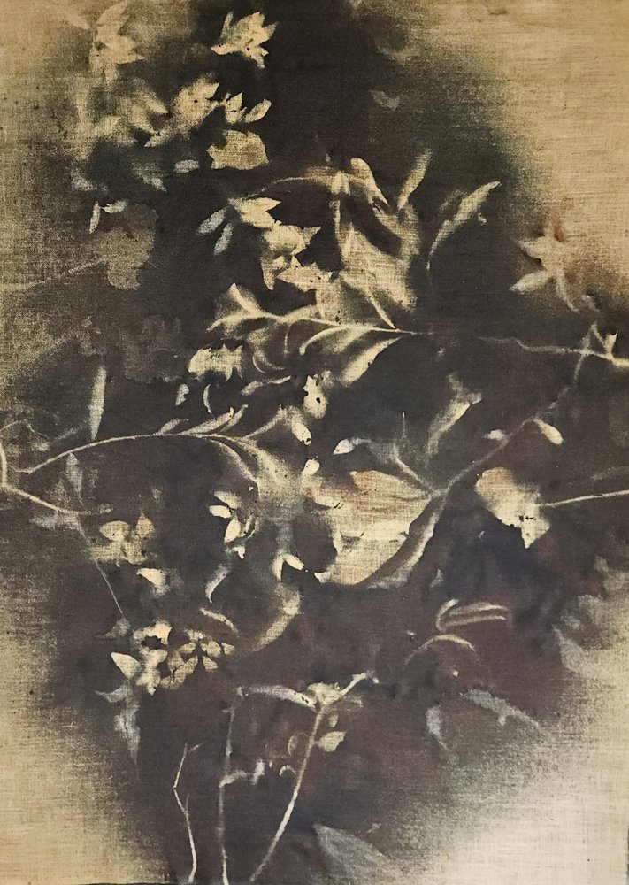 Stämningsfulla blomsterskuggor av Stefano Mazzolini