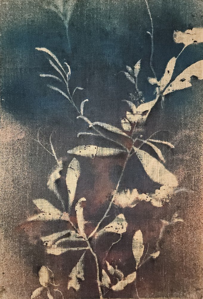 Blå botaniska motiv i vintagestil av Stefano Mazzolini