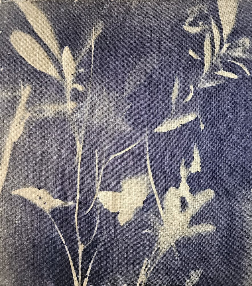 Vintage botaniska blåtoner av Stefano Mazzolini