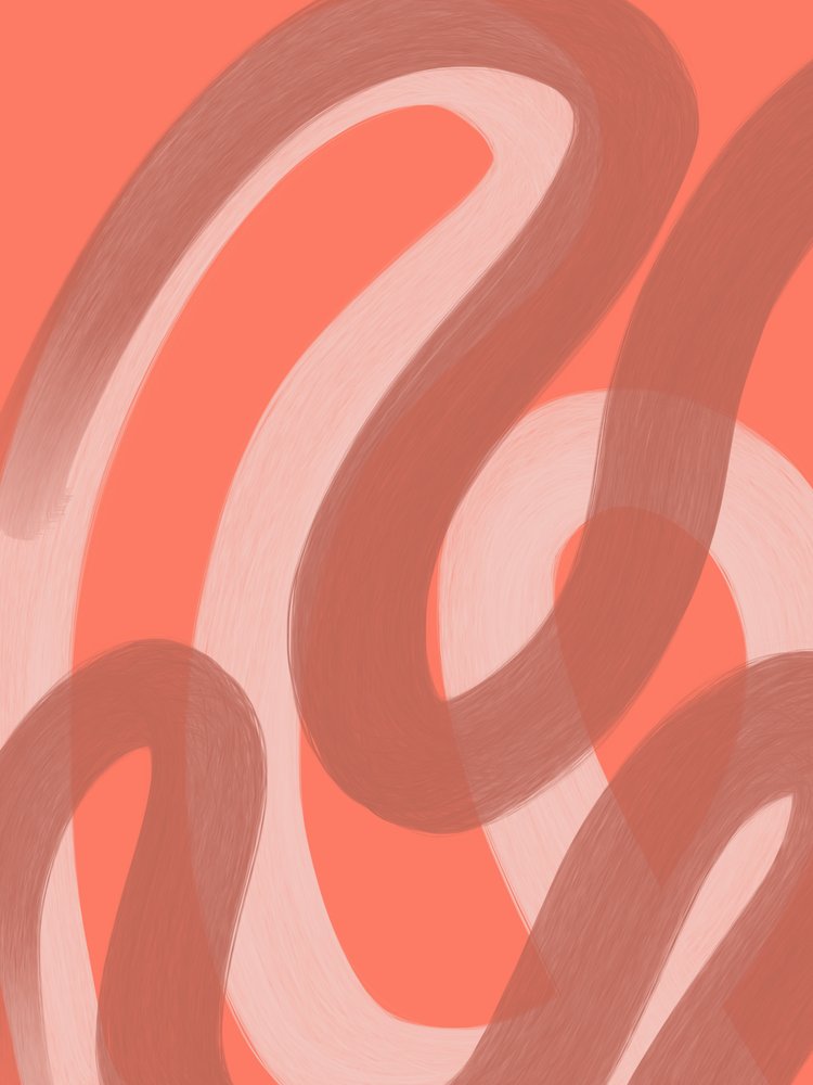 Sammanfattning: Coral Flow av Studio Palette