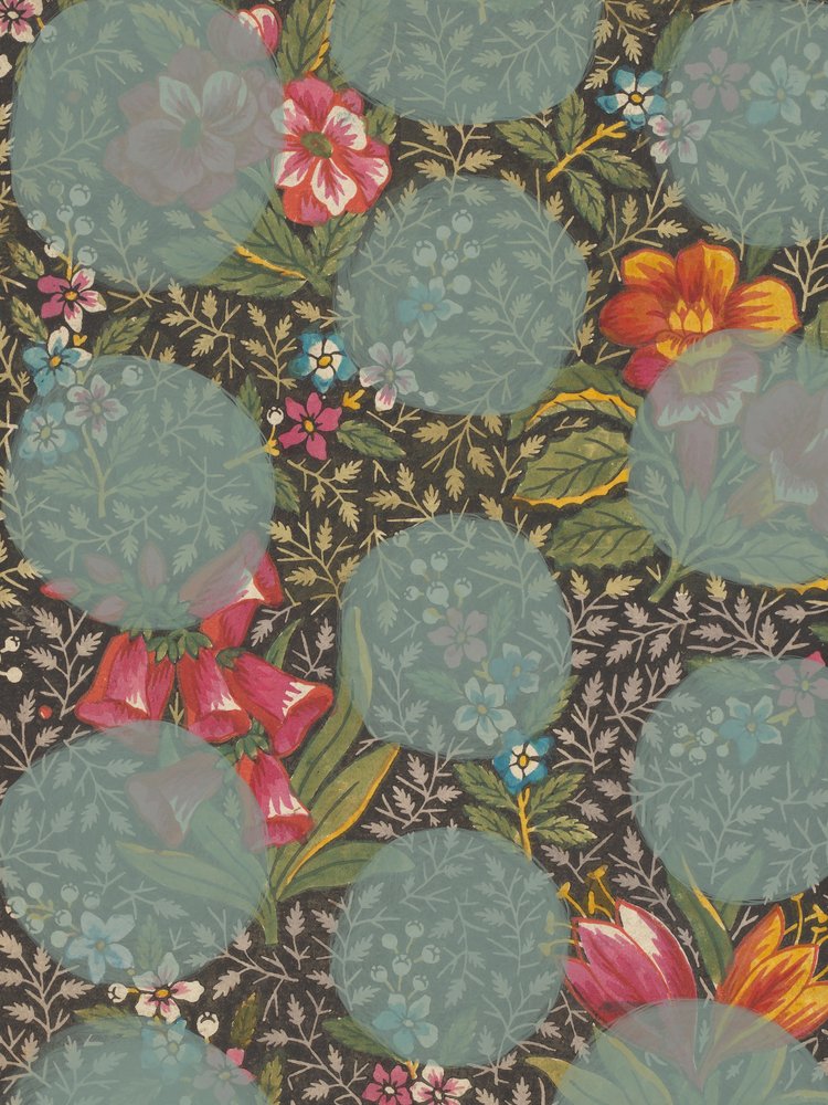 En färgsprakande blomsterträdgård av Studio Palette