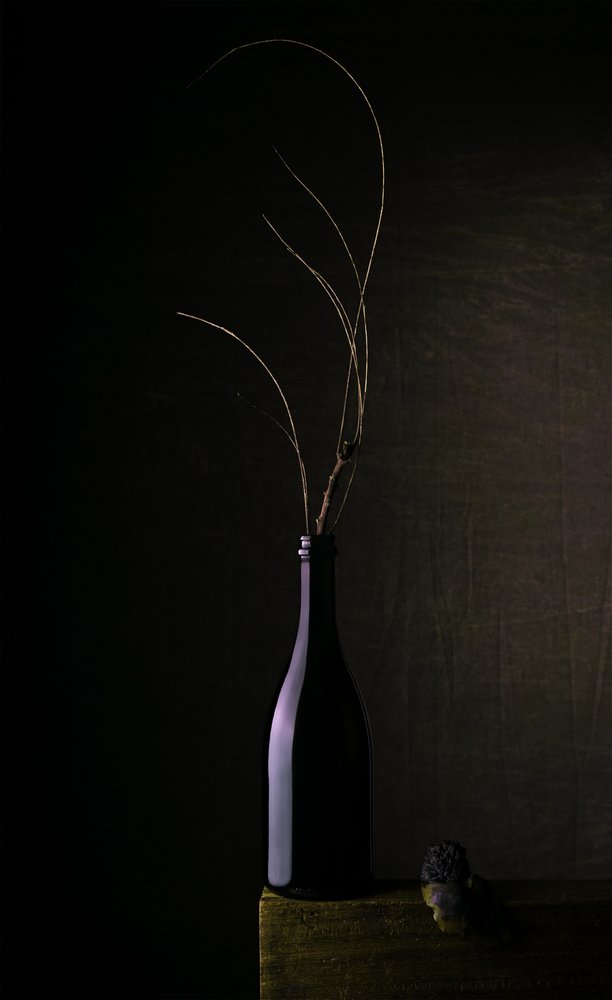 Stilleben med mörk flaska av Sumit Dhuper