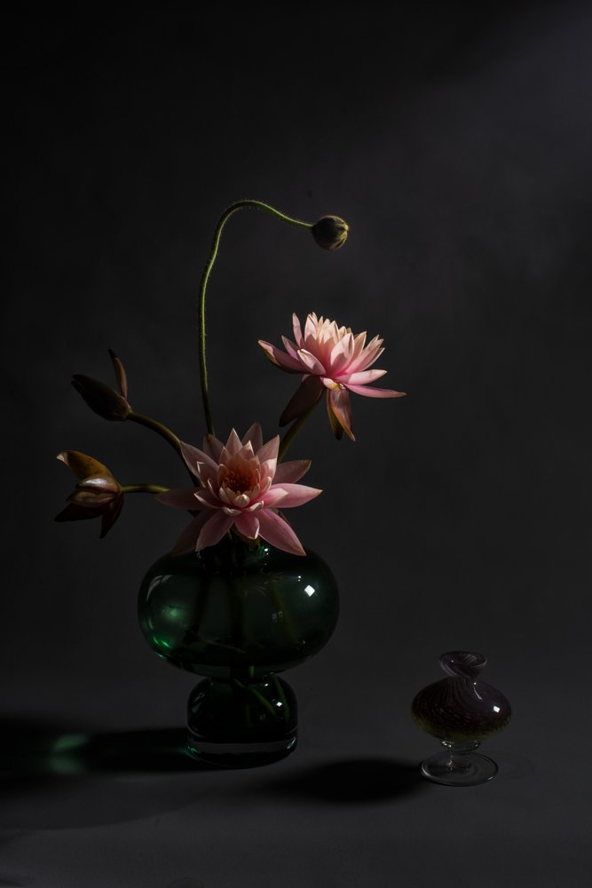 Eleganta rosa liljor av Summer2016