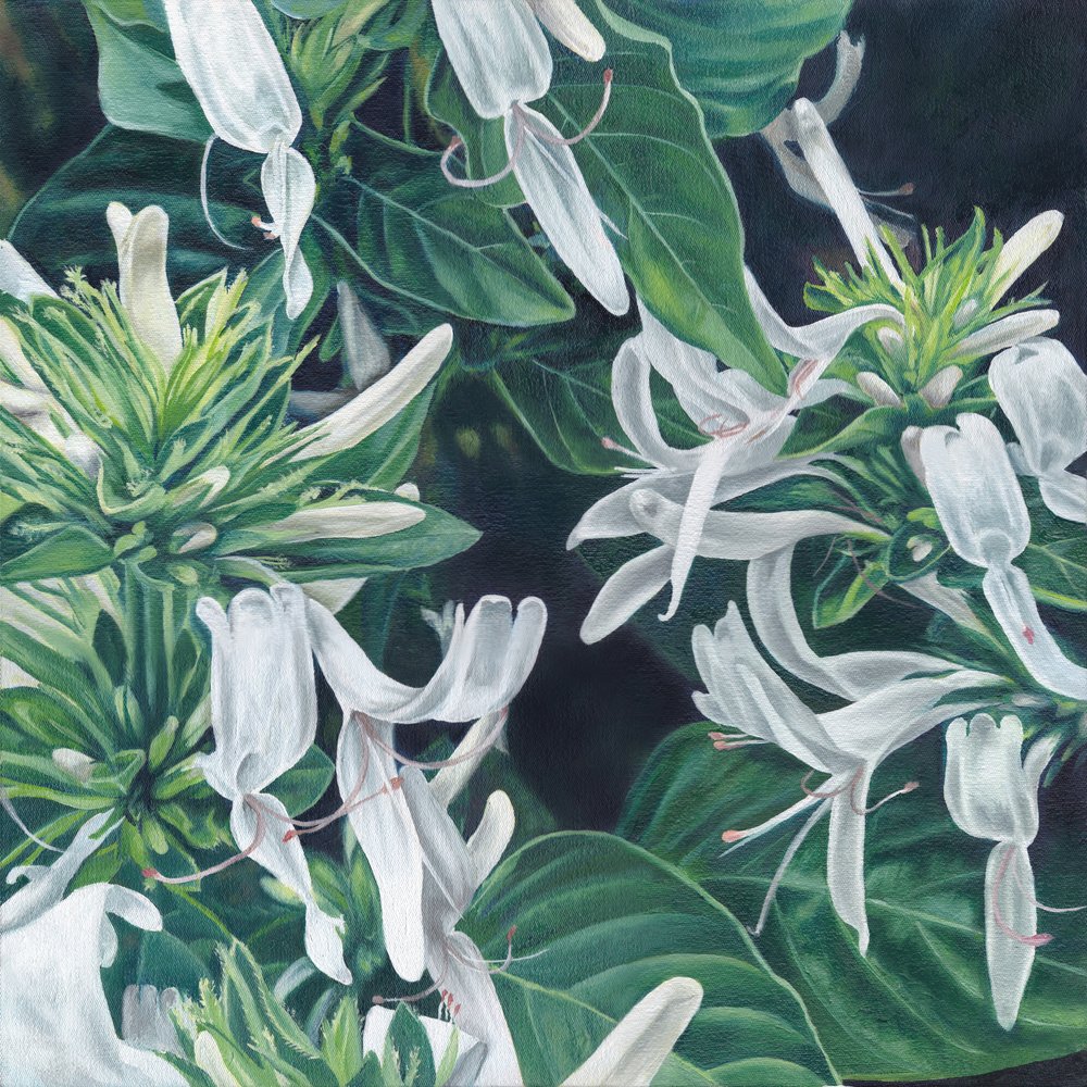 Eleganta vita blommor av Viccy Wanliss