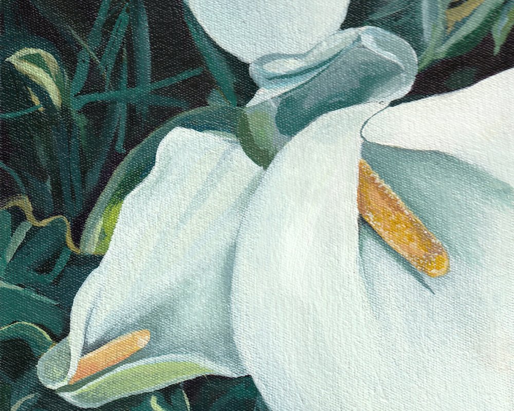 Eleganta vita liljor av Viccy Wanliss
