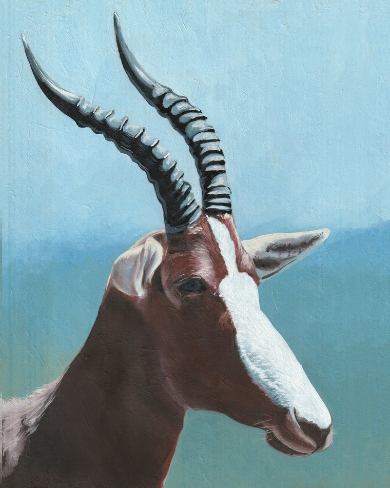 Porträtt av en majestätisk blesbok av Viccy Wanliss
