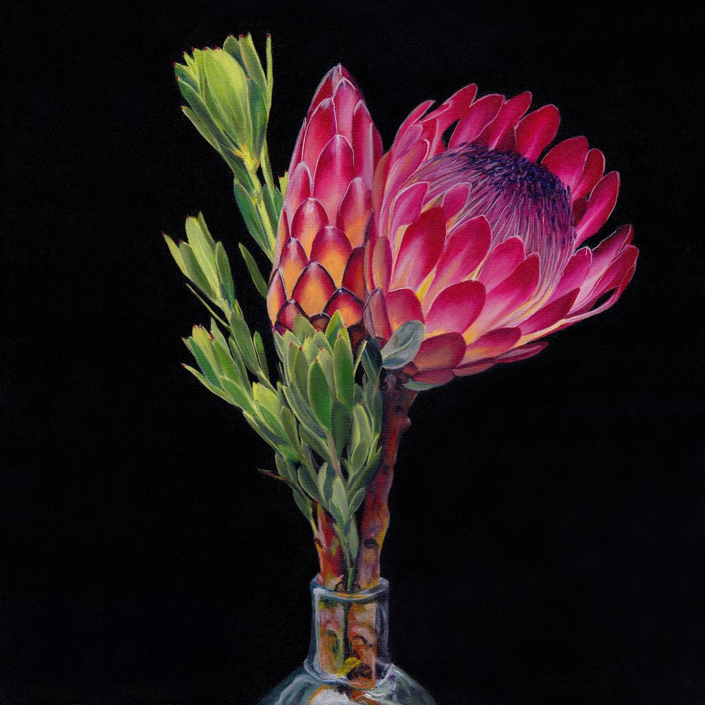 Pink Protea-vaser av Viccy Wanliss