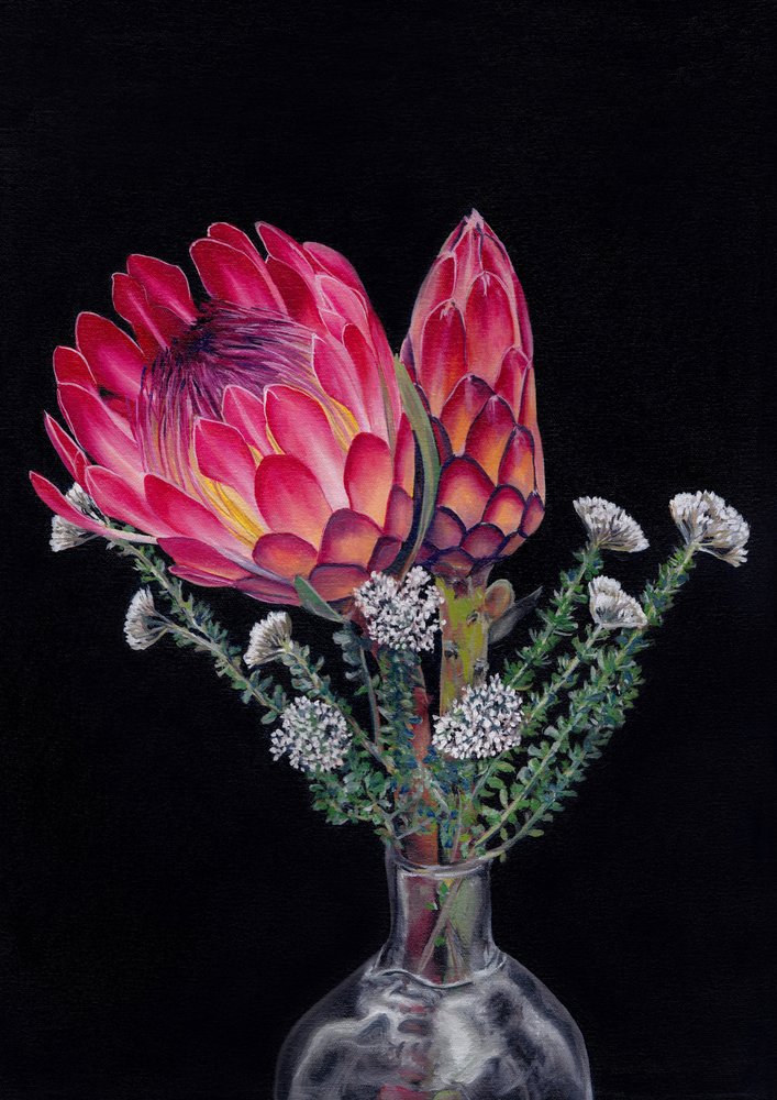 Protea och Blombos Av Viccy Wanliss av Viccy Wanliss