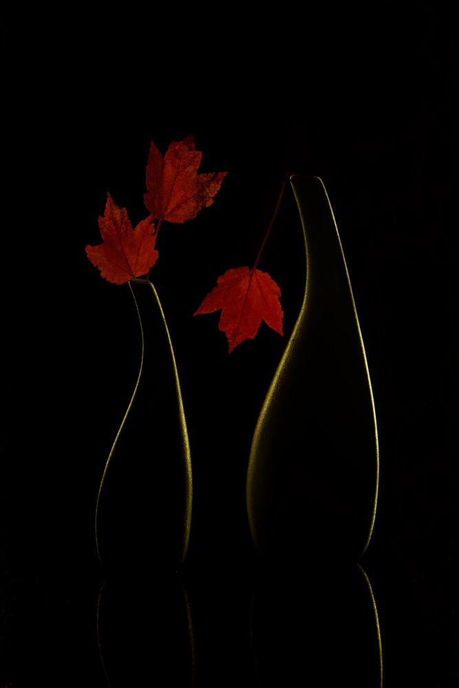  av Wendy Xu
