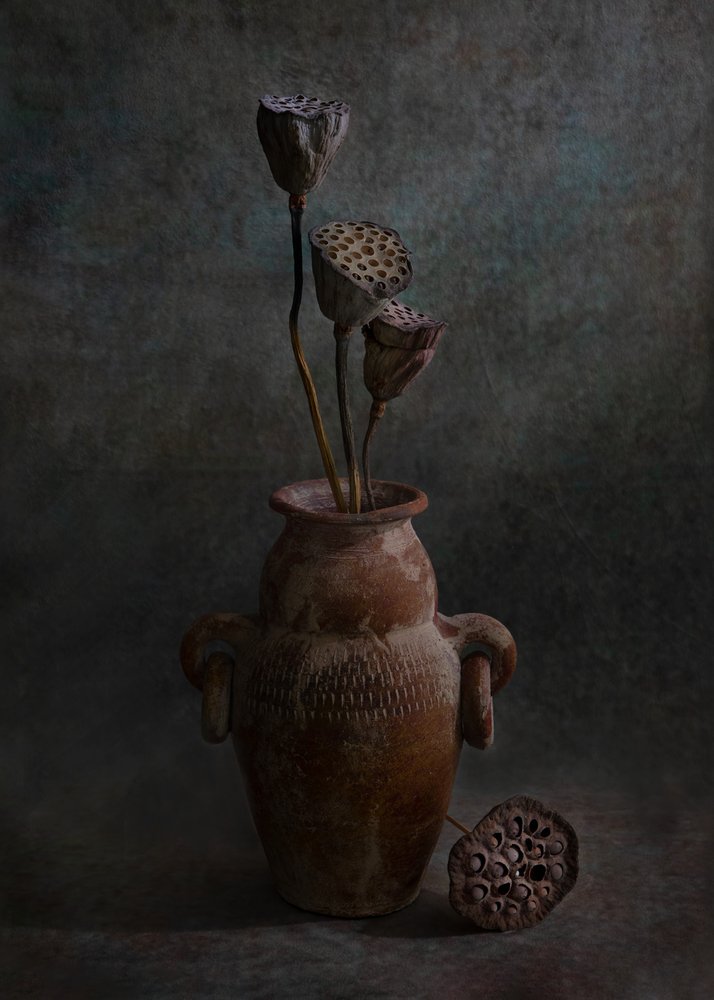  av Wendy Xu