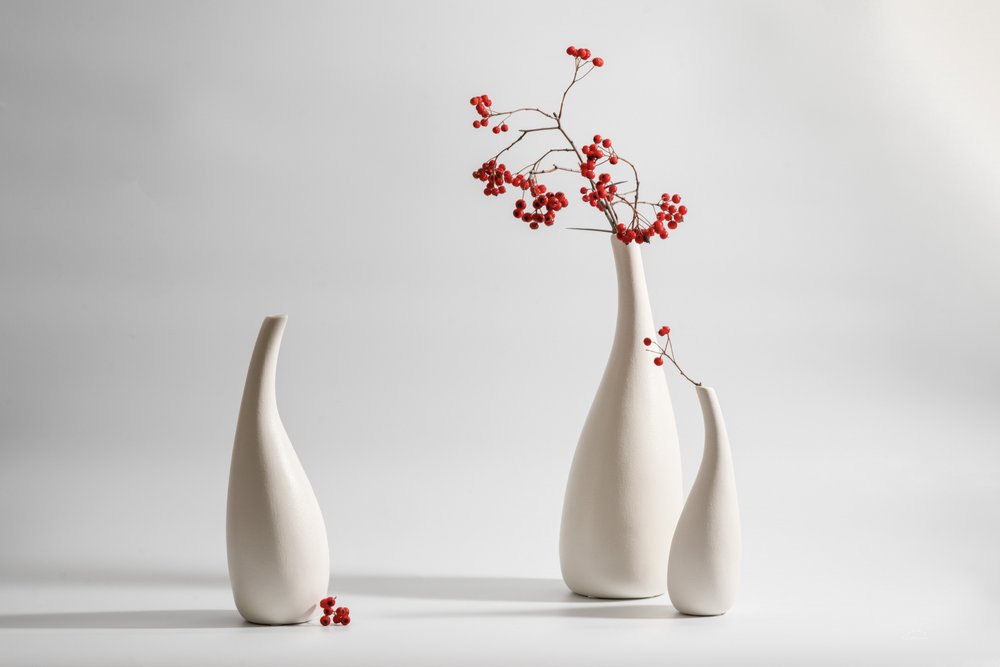 Eleganta vaser med röda bär av Xiaoyuan Xu