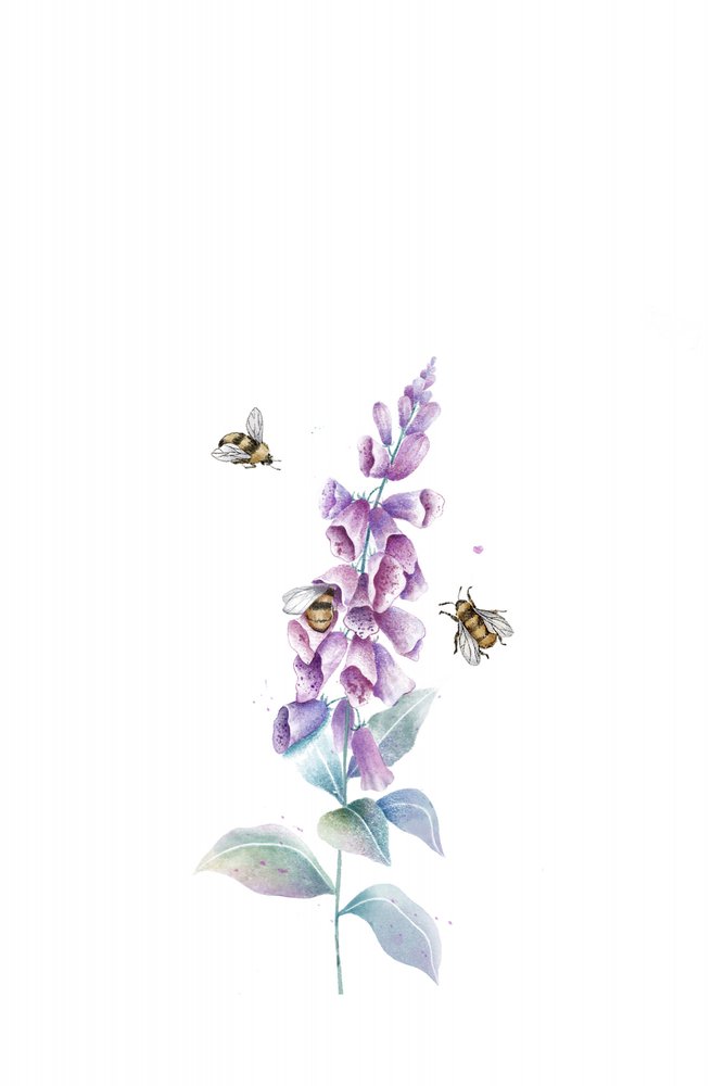 Akvarellmålningar av bin och blommor av Xuan Thai