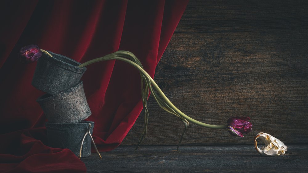 Mörk blommig dödskalle av alan shapiro