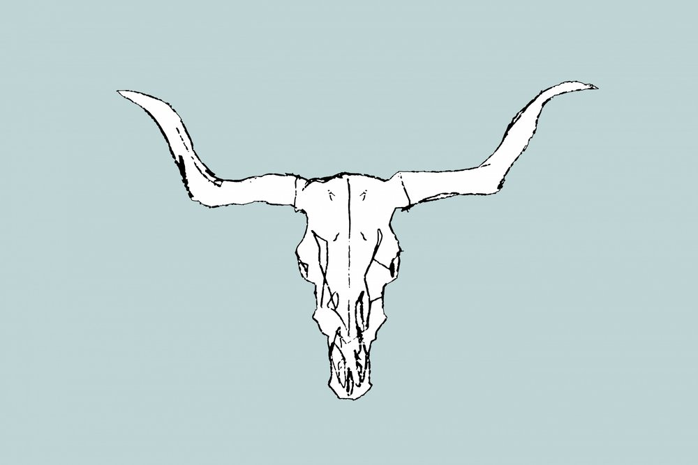 Desert Bull Skull av cartissi