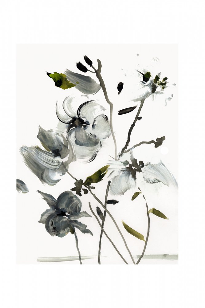 Eleganta abstrakta blommor av cartissi