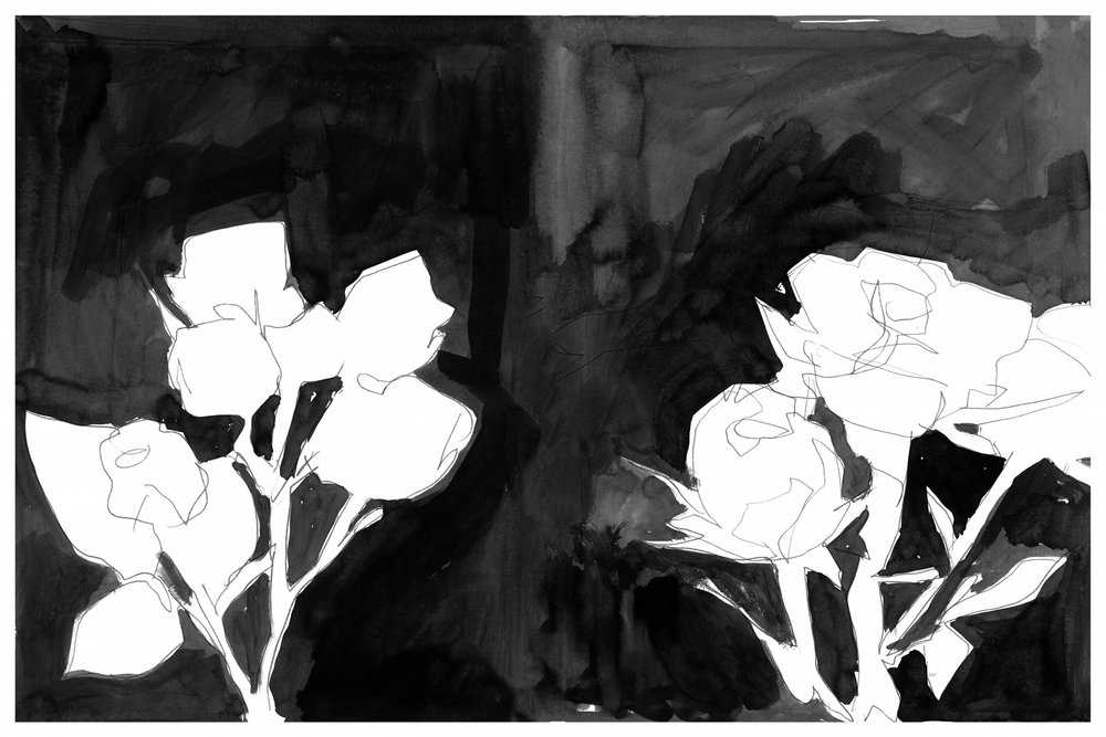 Eleganta nattblommor av cartissi