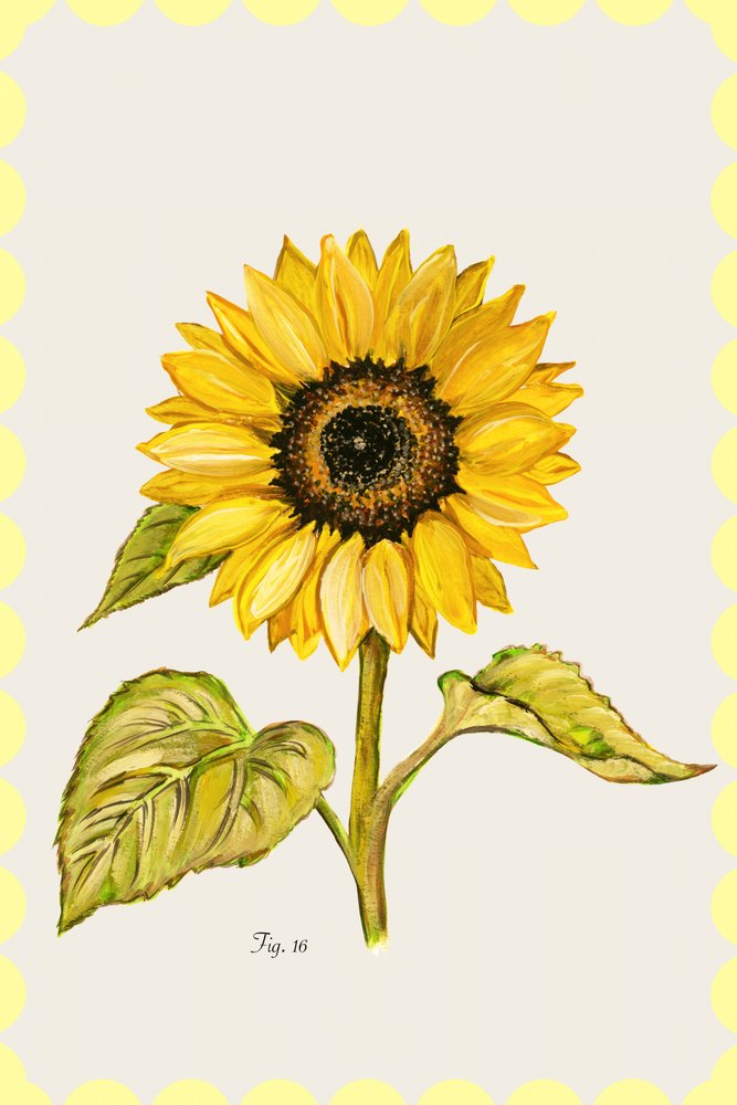 Golden Sunflower Botanical av cartissi