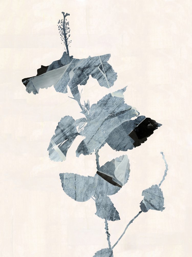 Hibiskusblomma – abstrakt av cartissi