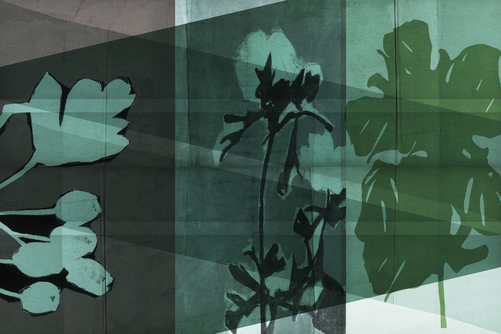Skiktade botaniska skuggor av cartissi