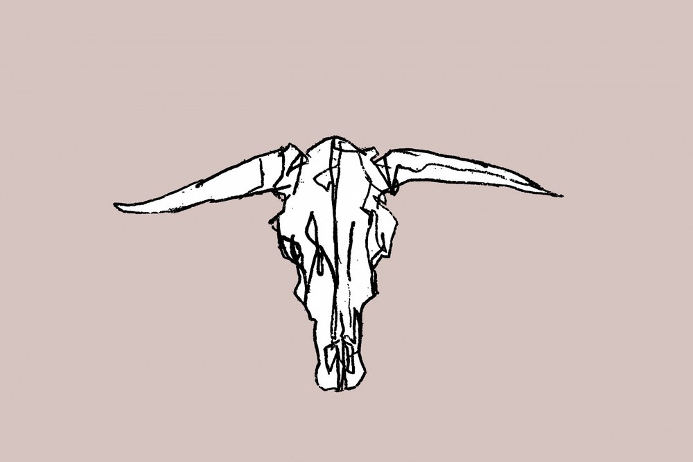 Minimalist Longhorn Skull av cartissi