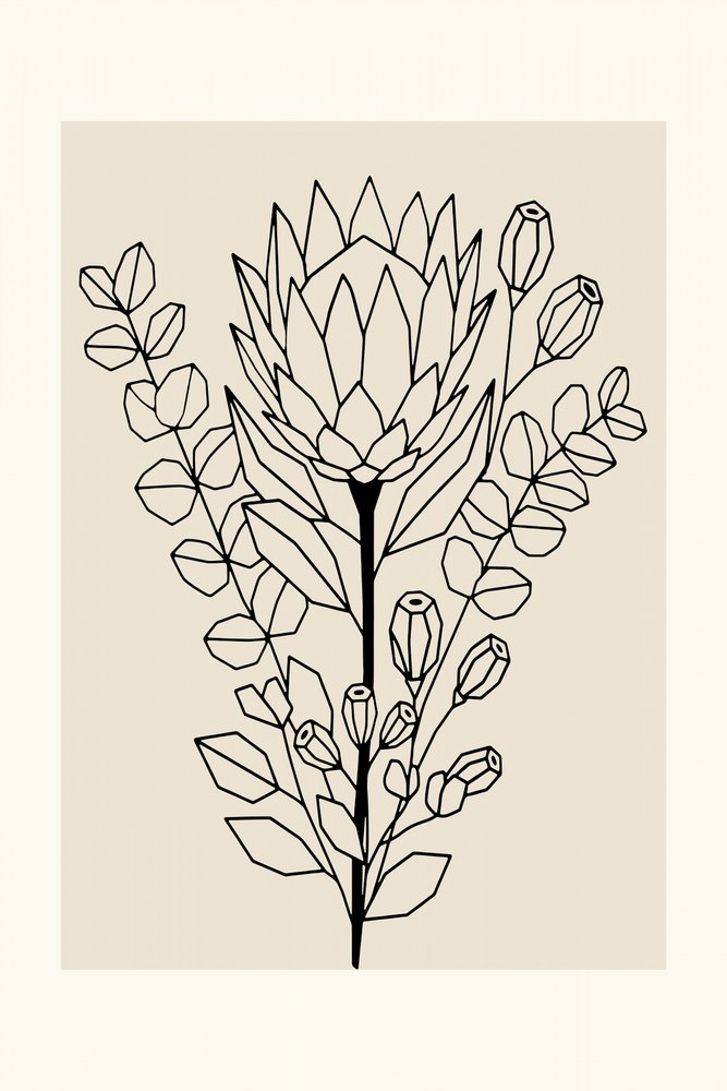 Minimalistisk protea och eukalyptus av cartissi