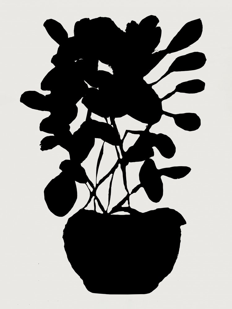 Modern botanisk silhuett av cartissi
