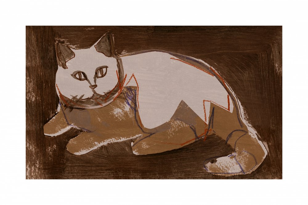 En modern katt vilar av cartissi