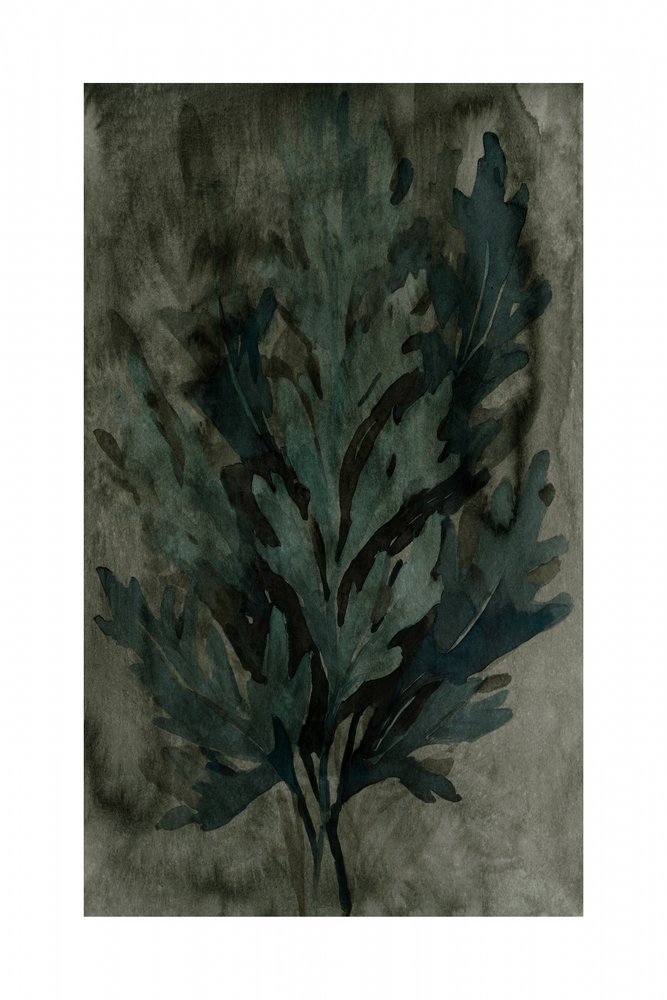 Stämningsfulla botaniska blad av cartissi