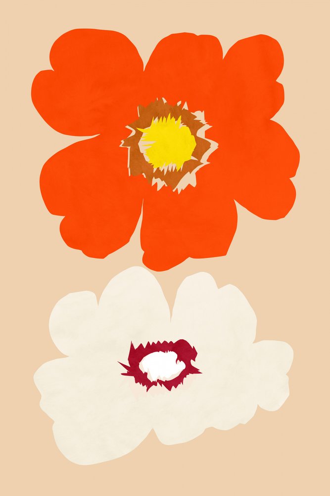Orange och vita blommor av cartissi