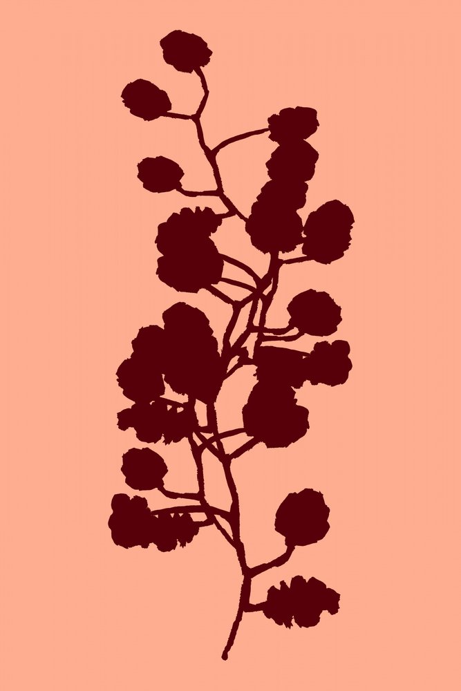 Persikans botaniska silhuett av cartissi
