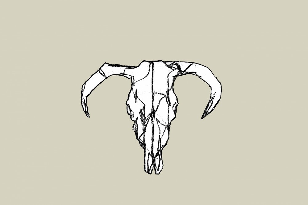 Rustic Bull Skull av cartissi