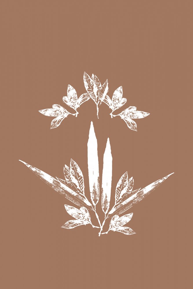 Stiliserade botaniska blad av cartissi