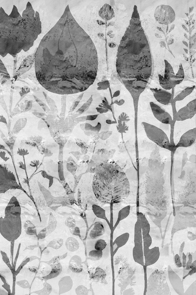 Den strukturerade botaniska trädgården av cartissi
