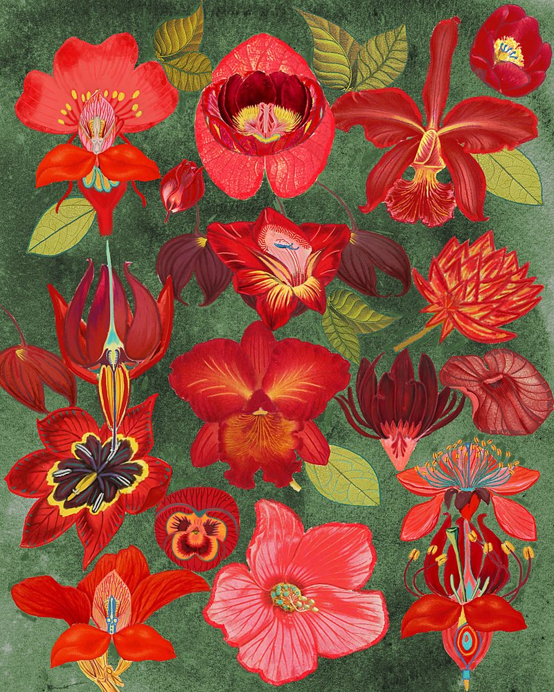 Kollektionen ”Exotic Red Floral” av giovanna nicolo