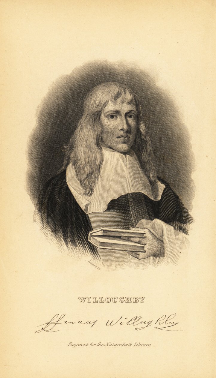 Francis Willughby eller Willoughby, engelsk ornitolog och iktyolog, 1635-1672 av Unknown